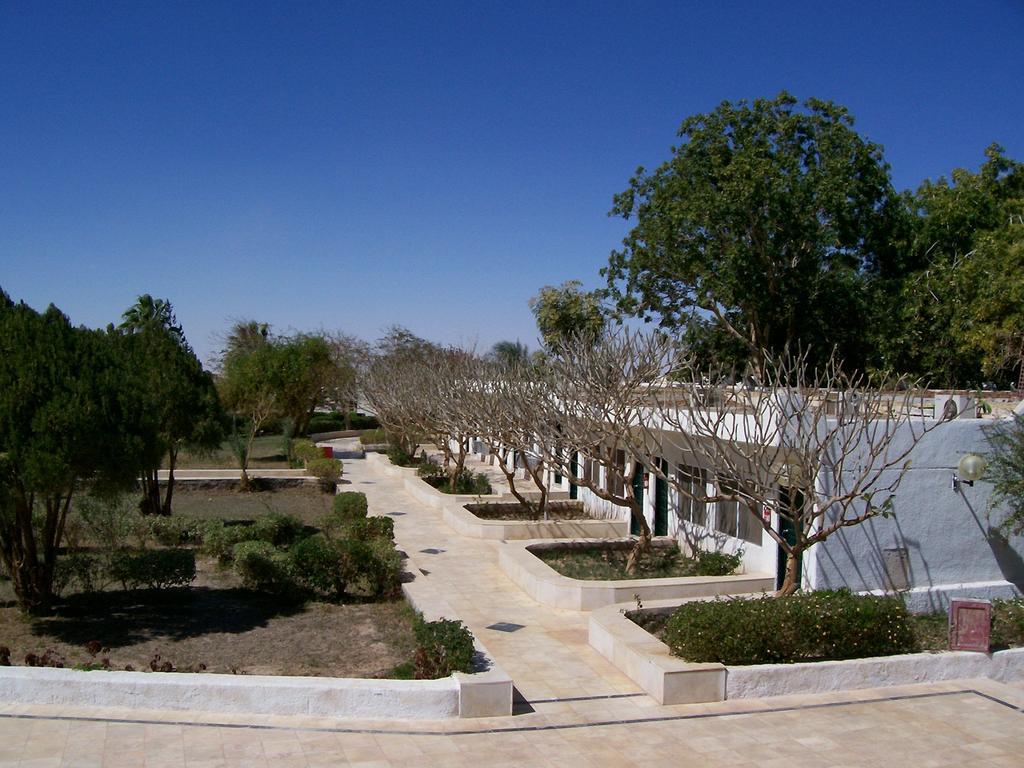 Nefertari Hotel Abu Simble 阿布辛贝 外观 照片