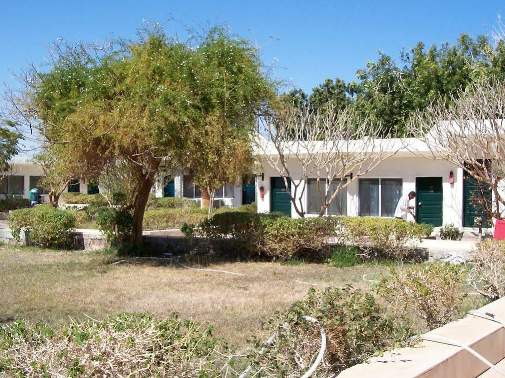 Nefertari Hotel Abu Simble 阿布辛贝 外观 照片