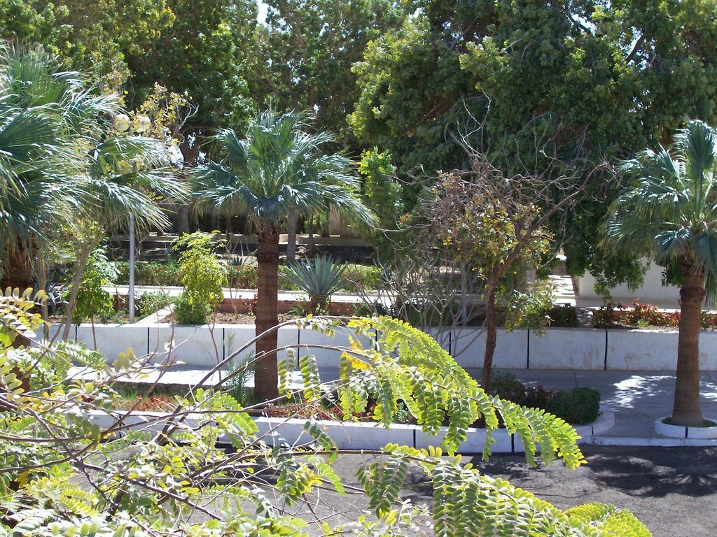 Nefertari Hotel Abu Simble 阿布辛贝 外观 照片