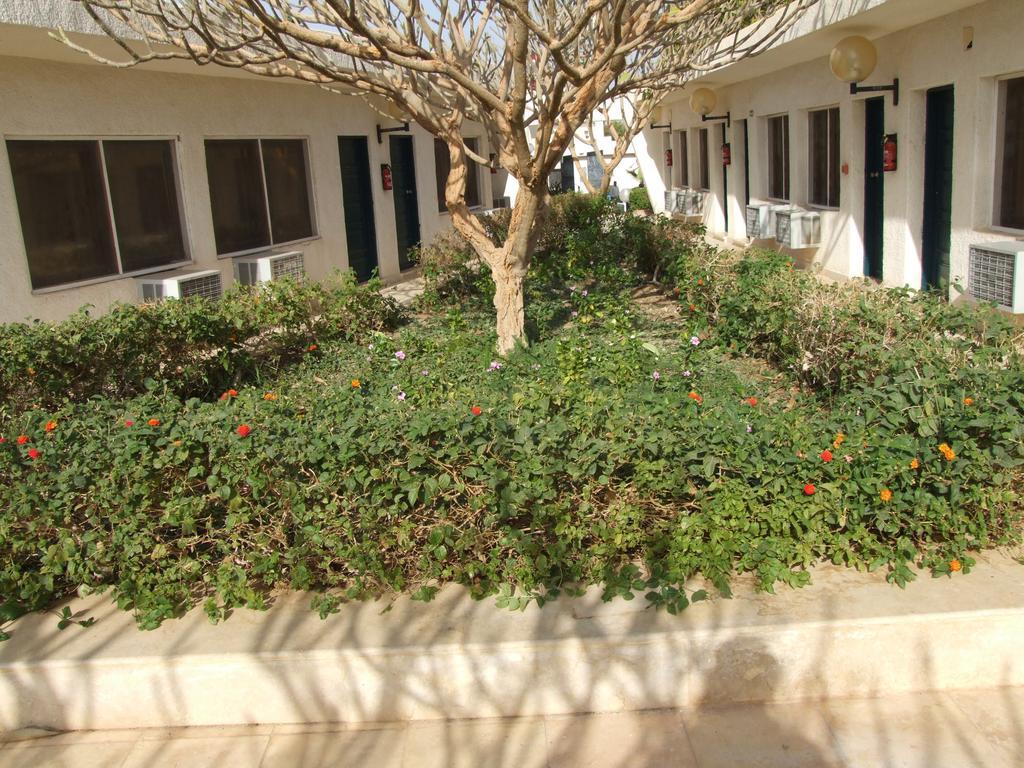 Nefertari Hotel Abu Simble 阿布辛贝 外观 照片